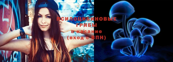 герыч Алексин