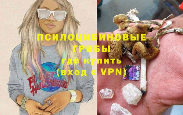 винт Алзамай