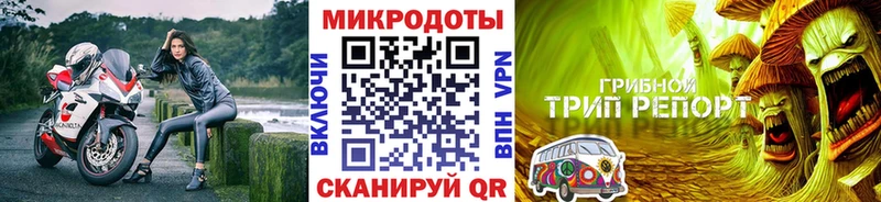Псилоцибиновые грибы GOLDEN TEACHER  Котельнич 